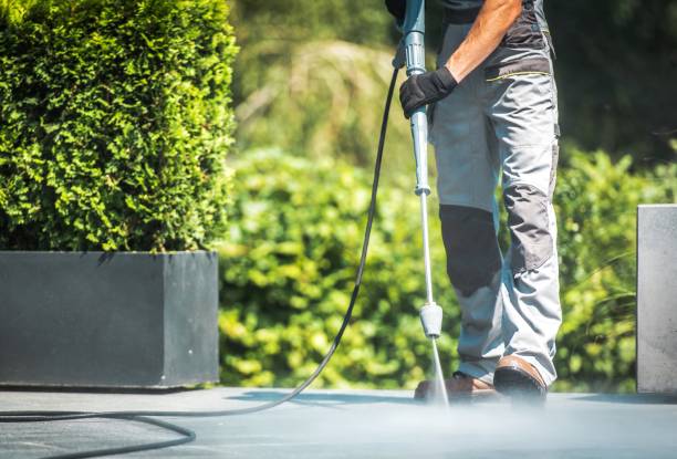 Best Dumpster Area Cleaning  in Whiteland, IN